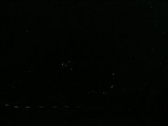 -芦沟竹海