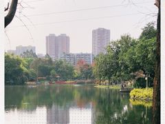 -晓港公园