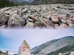 -朱雀国家森林公园