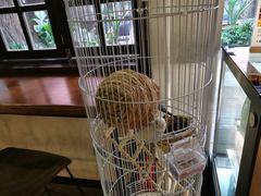 -ChitChat奇洽·Bistro(黎黄陂路店)