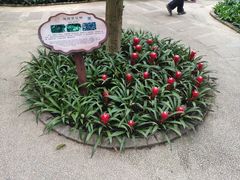 -南山植物园