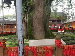 -新安江山水画廊风景区