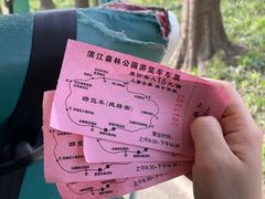 -上海滨江森林公园