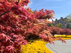 -上海市龙华烈士陵园