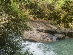 -广州白江湖森林公园