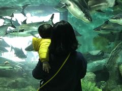 -福州罗源湾海洋世界旅游区