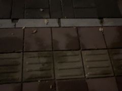 -南沙辉记烧鸡·荔枝木炭火吊烧(旧镇店)