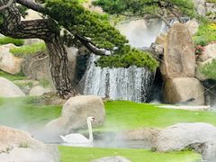 -罗红摄影艺术馆