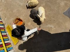 -西部长青自然儿童乐园