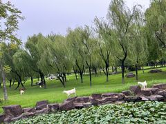 -杭州师范大学(下沙校区)