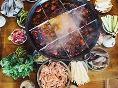 -白乐天毛肚火锅馆(解放碑店)