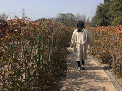 -昆山城市生态森林公园