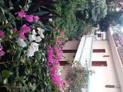 android_upload_pic-三亚亚龙湾凯莱仙人掌度假酒店