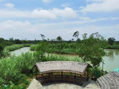 -泗洪洪泽湖湿地景区