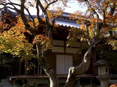 -常寂光寺
