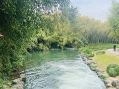 -杭州植物园
