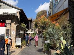 -马家大院
