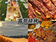 -栖露营camping·天幕烧烤·团建拓展·采摘营地