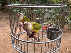 -南宫五洲植物乐园