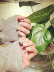 0ED730002A2C9D18919D659D3F4C5A9A-LILY NAILS美甲美睫