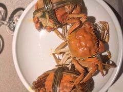 -大鸭梨烤鸭店(花园村店)