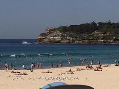 -黄金海岸