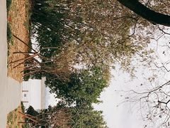 -福建鲤鱼洲酒店