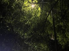 -二刀潮牛(重庆光环购物公园店)