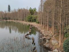 -长广溪湿地公园
