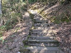 -岣嵝峰国家森林公园