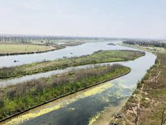 -春花秋色城市公园