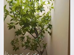 -宫七SPA·高端Massage(浦东大道店)