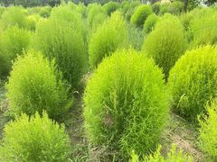 -野鸭湖国家湿地公园