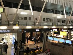 -约翰·菲茨杰拉德·肯尼迪国际机场