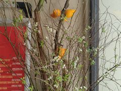 -川匠·睡眠采耳·SPA(九眼桥店)