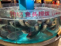 -魏铭鱼头捞饭(晋阳路店)