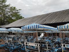-大湾区中央湿地公园