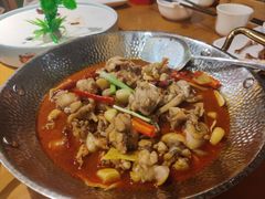 -大鸽饭(马王堆店)