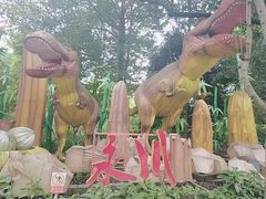 -南山植物园