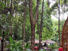 -二荆条·蜀鲜汇城市森林火锅