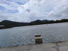 -顺峰山公园