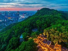 -南山植物园