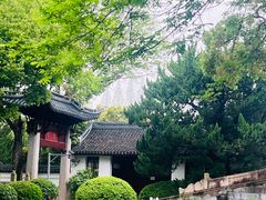 -嘉定紫藤园