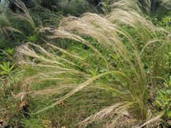 -重元寺香积厨素斋馆