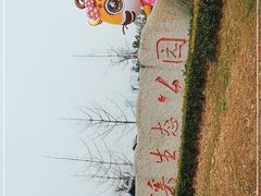 -桂溪生态公园