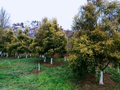 -白鹭湾湿地公园