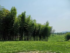 -良渚古城遗址公园