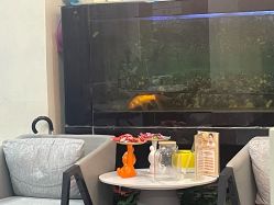 -天津健丽·去眼袋医疗美容机构