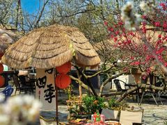 -桃源山庄·水蜜桃采摘·柴火鸡·烧烤团建(龙泉山店)