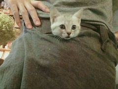 -MIKAKU(万达广场上海宝山店)